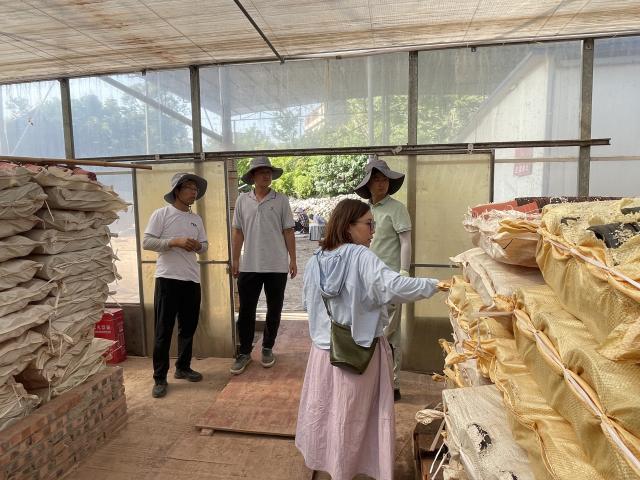 瀘州城投花木公司與北京花木公司專家團隊開展技術交流
