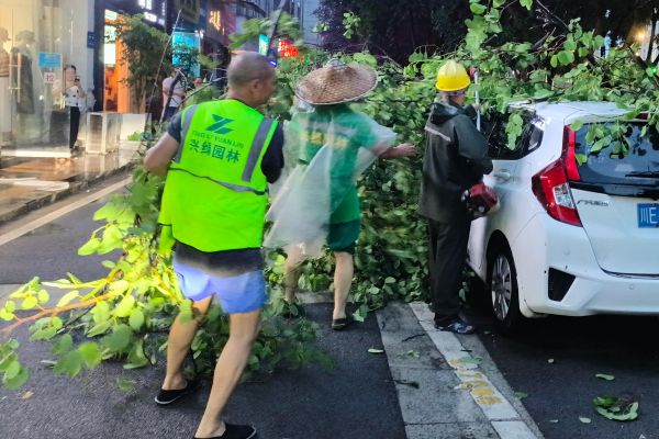 興綠園林全力保障極端天氣后城市道路通暢